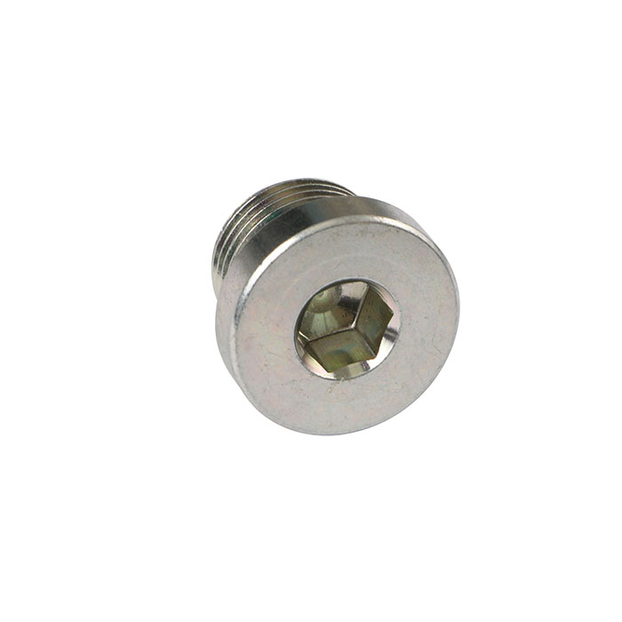 Hexagonal Socket Male BSP Plug 4BN-WD